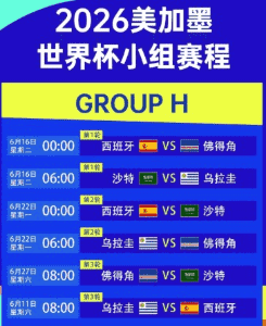 FIFA WorldCup 比赛用球
